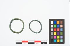 Foto von Bronzering (NHMW-PRAE-026374)
